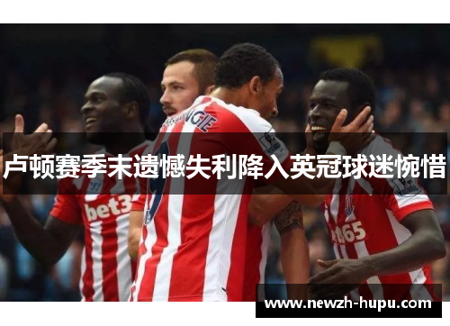 卢顿赛季末遗憾失利降入英冠球迷惋惜 卢顿赛季末遗憾失利降入英冠球迷惋惜