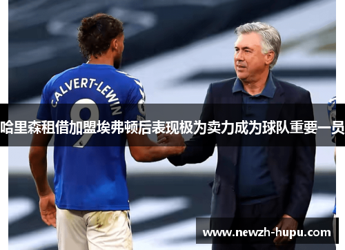 哈里森租借加盟埃弗顿后表现极为卖力成为球队重要一员 哈里森租借加盟埃弗顿后表现极为卖力成为球队重要一员