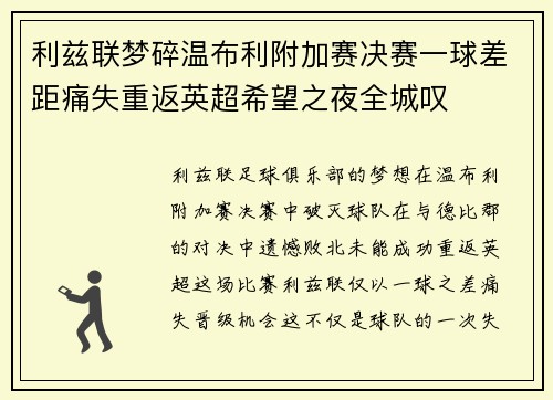 利兹联梦碎温布利附加赛决赛一球差距痛失重返英超希望之夜全城叹